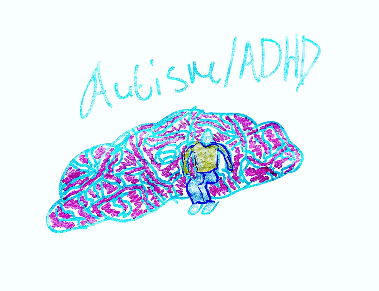 Drawing of a brain